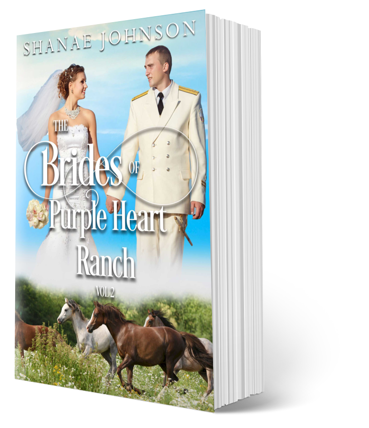 The Brides of Purple Heart Ranch Vol 2 [PRINT BOOK]