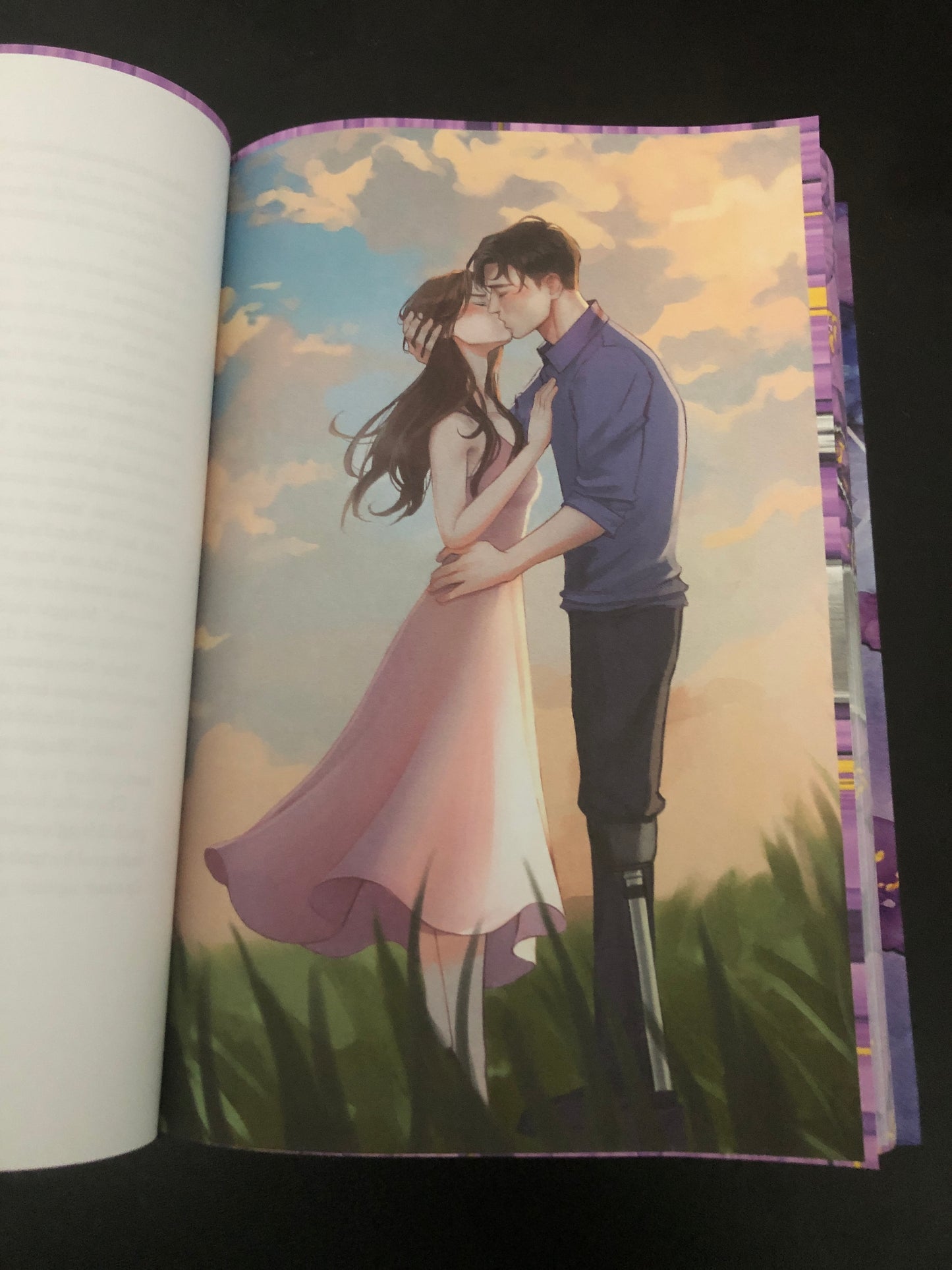 Brides of Purple Heart Ranch ILLUSTRATED EDITION